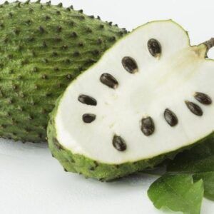 Soursop 100g
