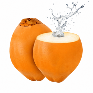 King coconut -1