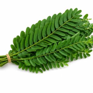 Kathuru murunga unit-1 (150g-200g)