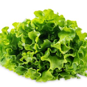 Salad leaves 100g