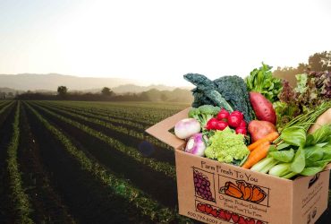 WhatsApp Image 2026-01-12 at 12.08.17 PM